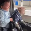🐒 Эмодзи «Хасбик» для Telegram