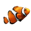 🐠 Эмодзи «☀ Набор эмоджи с Гавайским вайбом» для Telegram