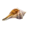 🐚 Эмодзи «☀ Набор эмоджи с Гавайским вайбом» для Telegram