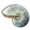 🐚 Эмодзи «☀ Набор эмоджи с Гавайским вайбом» для Telegram