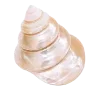 🐚 Эмодзи «☀ Набор эмоджи с Гавайским вайбом» для Telegram