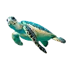 🐢 Эмодзи «☀ Набор эмоджи с Гавайским вайбом» для Telegram