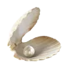 🐚 Эмодзи «☀ Набор эмоджи с Гавайским вайбом» для Telegram