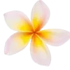 🌸 Эмодзи «☀ Набор эмоджи с Гавайским вайбом» для Telegram