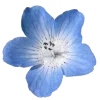 🌸 Эмодзи «☀ Набор эмоджи с Гавайским вайбом» для Telegram