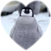 ❤️ Эмодзи «Пингвины в сердечках» для Telegram