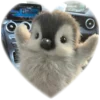 ❤️ Эмодзи «Пингвины в сердечках» для Telegram