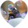 ❤️ Эмодзи «Пингвины в сердечках» для Telegram
