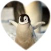 ❤️ Эмодзи «Пингвины в сердечках» для Telegram