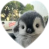 ❤️ Эмодзи «Пингвины в сердечках» для Telegram