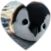 ❤️ Эмодзи «Пингвины в сердечках» для Telegram