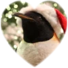 ❤️ Эмодзи «Пингвины в сердечках» для Telegram