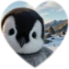 ❤️ Эмодзи «Пингвины в сердечках» для Telegram