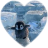 ❤️ Эмодзи «Пингвины в сердечках» для Telegram