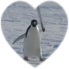 ❤️ Эмодзи «Пингвины в сердечках» для Telegram