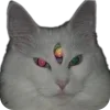 🐱 Эмодзи «Hekate Loves You» для Telegram
