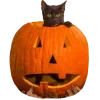 🎃 Эмодзи «🔪 Halloween» для Telegram
