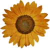 🌼 Эмодзи «Hippies» для Telegram