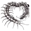 🕷️ Эмодзи «Dark Emoji #color #black #white» для Telegram