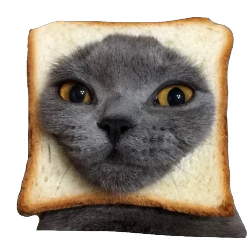 🍞 Стикер «Bread Cats» для Telegram