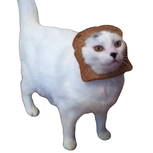 🍞 Стикер «Bread Cats» для Telegram
