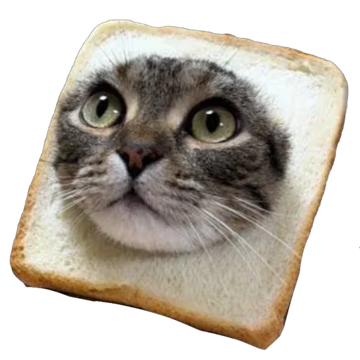 🍞 Стикер «Bread Cats» для Telegram