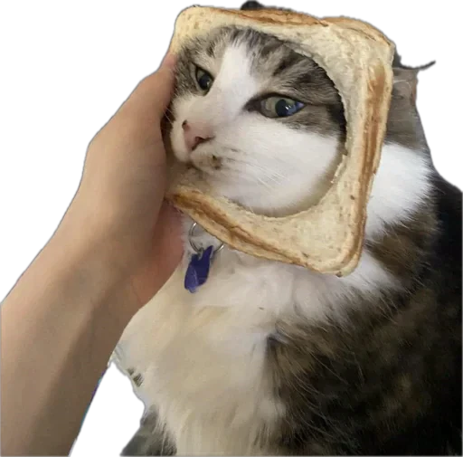 🍞 Стикер «Bread Cats» для Telegram