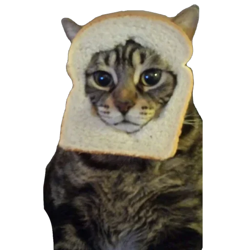 🍞 Стикер «Bread Cats» для Telegram