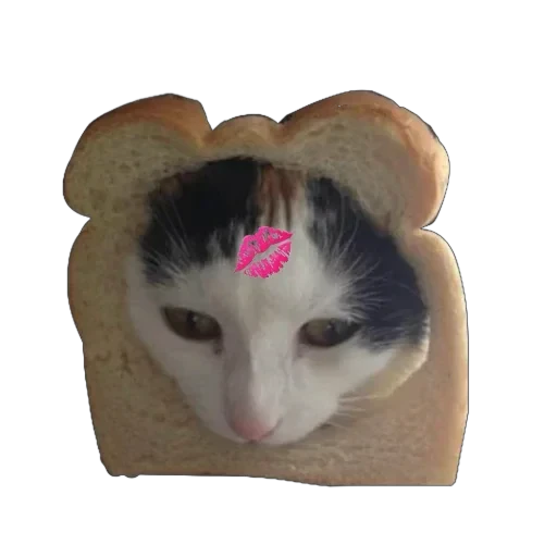 Стикерпак Bread Cats для Telegram