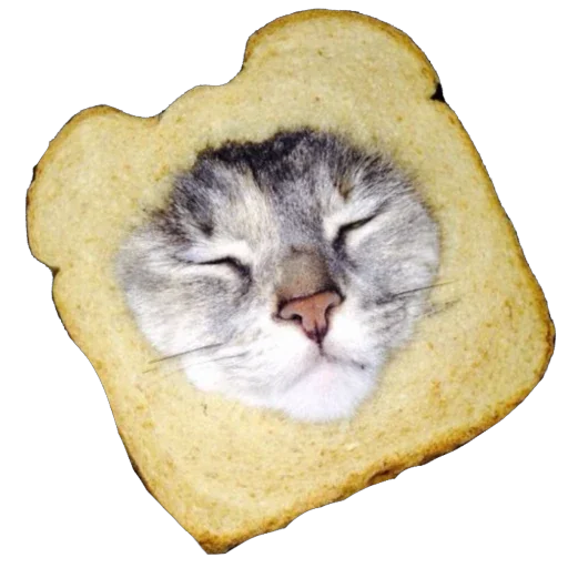 🍞 Стикер «Bread Cats» для Telegram