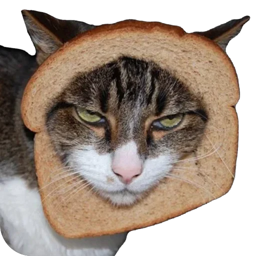 🍞 Стикер «Bread Cats» для Telegram
