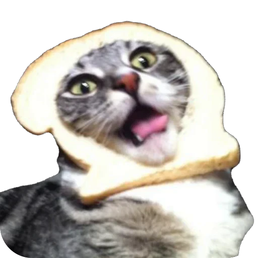 🍞 Стикер «Bread Cats» для Telegram
