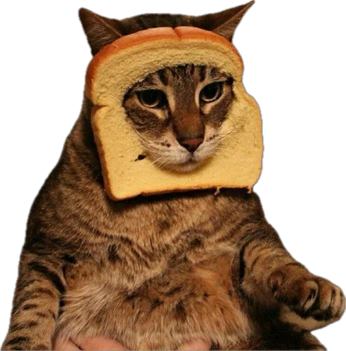 🍞 Стикер «Bread Cats» для Telegram