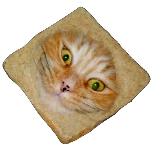 🍞 Стикер «Bread Cats» для Telegram