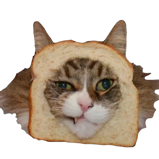 🍞 Стикер «Bread Cats» для Telegram