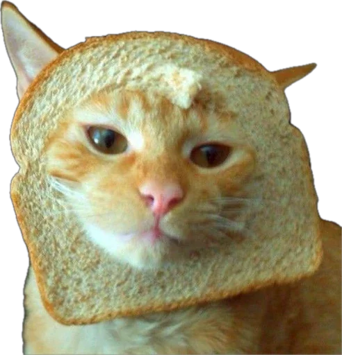 🍞 Стикер «Bread Cats» для Telegram
