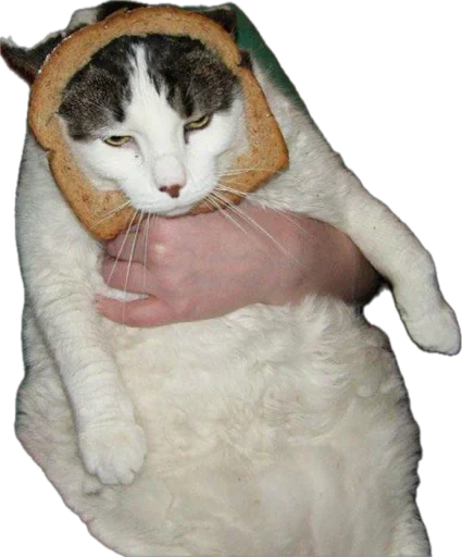 🍞 Стикер «Bread Cats» для Telegram