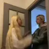 😡 Эмодзи «Hofmannita» для Telegram