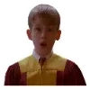 🎄 Эмодзи «Home Alone» для Telegram