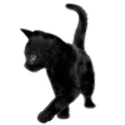 🐈‍⬛ Эмодзи «mur mur» для Telegram