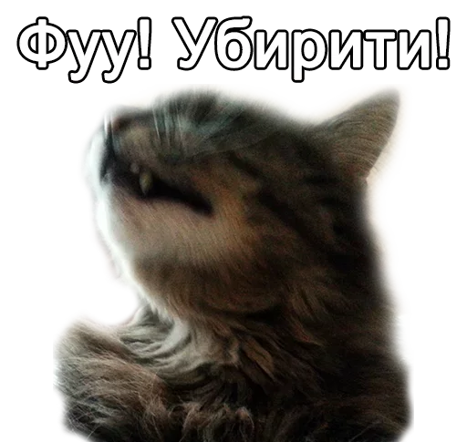 😠 Стикер «HooFoo» для Telegram
