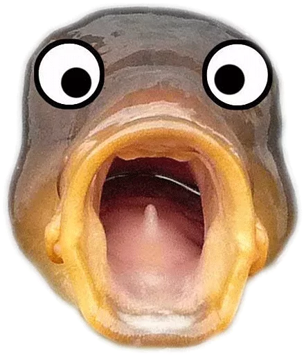 💂 Стикер «HooFoo» для Telegram