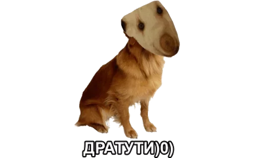🙊 Стикер «HooFoo» для Telegram