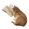 🌟 Эмодзи «Vaza» для Telegram