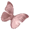 🌟 Эмодзи «Vaza» для Telegram