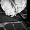 🌟 Эмодзи «Marilyn Monroe» для Telegram