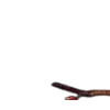 💿 Эмодзи «Ху Тао - Genshin» для Telegram