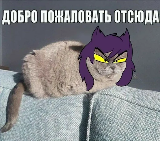 🤩 Стикер «13 наркоманов» для Telegram