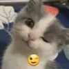 😉 Эмодзи «#ILOVECATS!» для Telegram