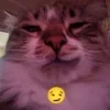 Стикерпак #ILOVECATS! для Telegram